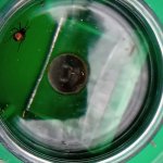 phoca_thumb_m_przkumnci 29 Fotogalerie